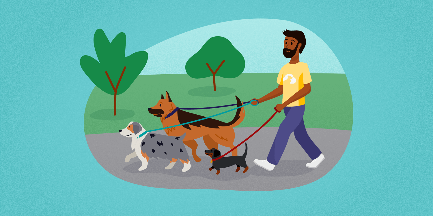 How to Start a Dog Walking Business in 5 Steps - NerdWallet