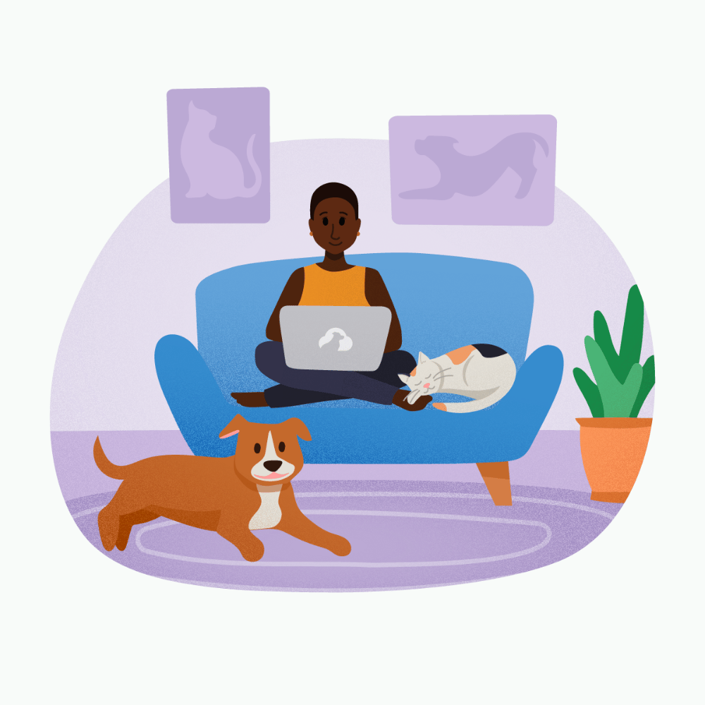 pet-sitting-software-how-to-pick