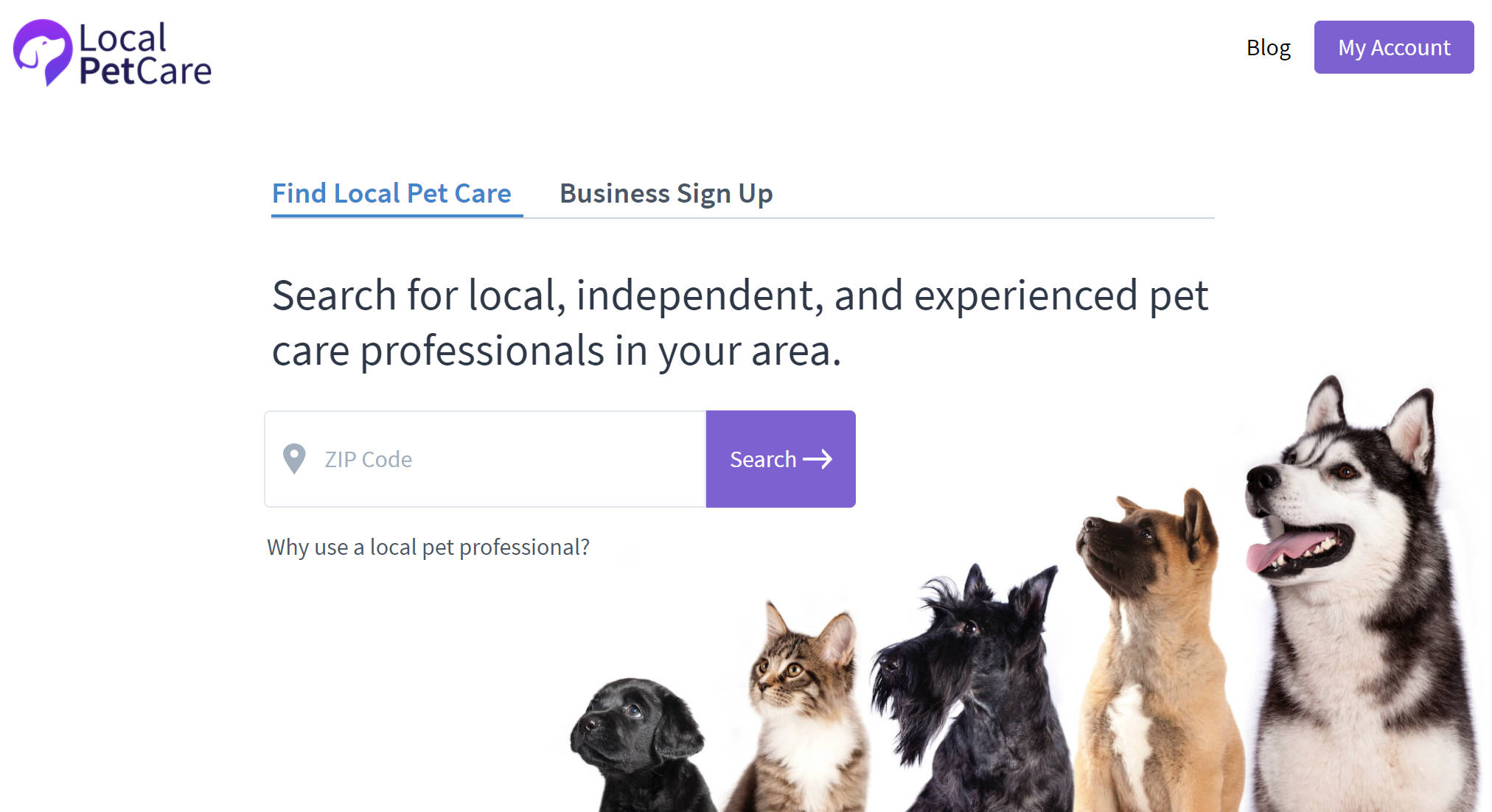 Introducing Local Pet Care! | Time To Pet
