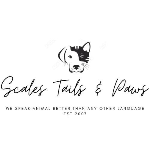 Scales Tails & Paws  Logo
