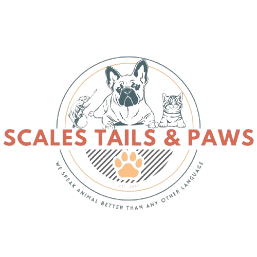 Scales Tails & Paws  Logo