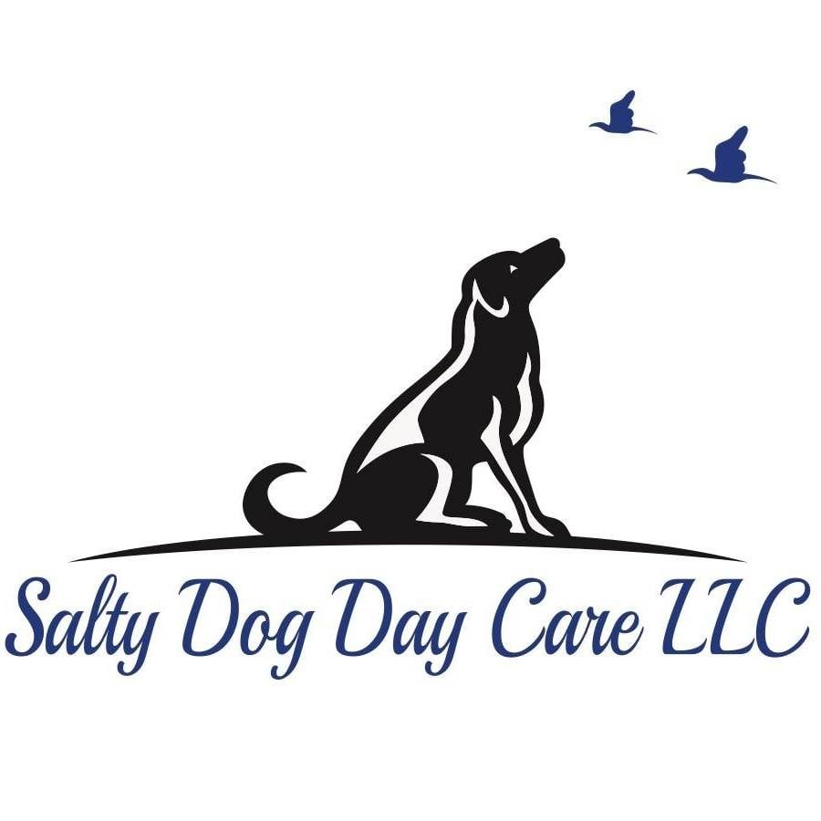 salty-dog-day-care-llc-portal