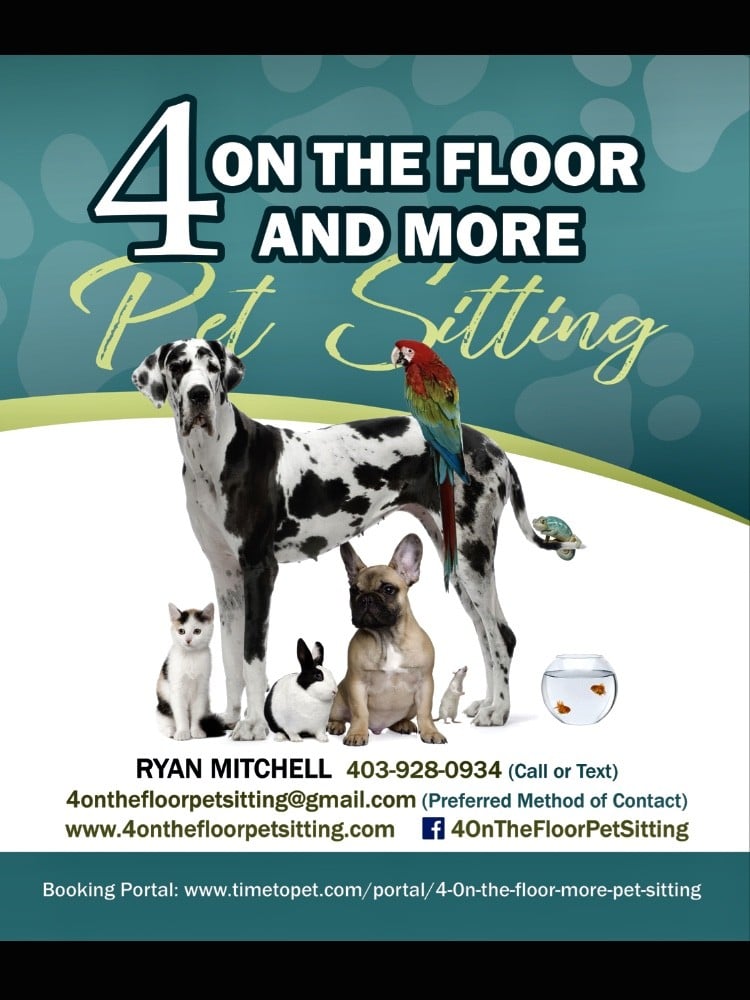 4 On The Floor & More Pet Sitting Logo