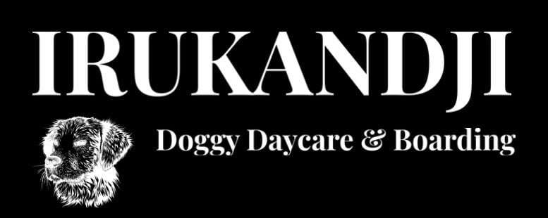 Irukandji Doggy Daycare & Boarding  Logo