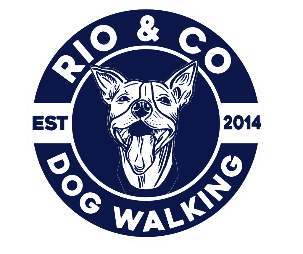 Rio & Co. Dog Walking  Logo