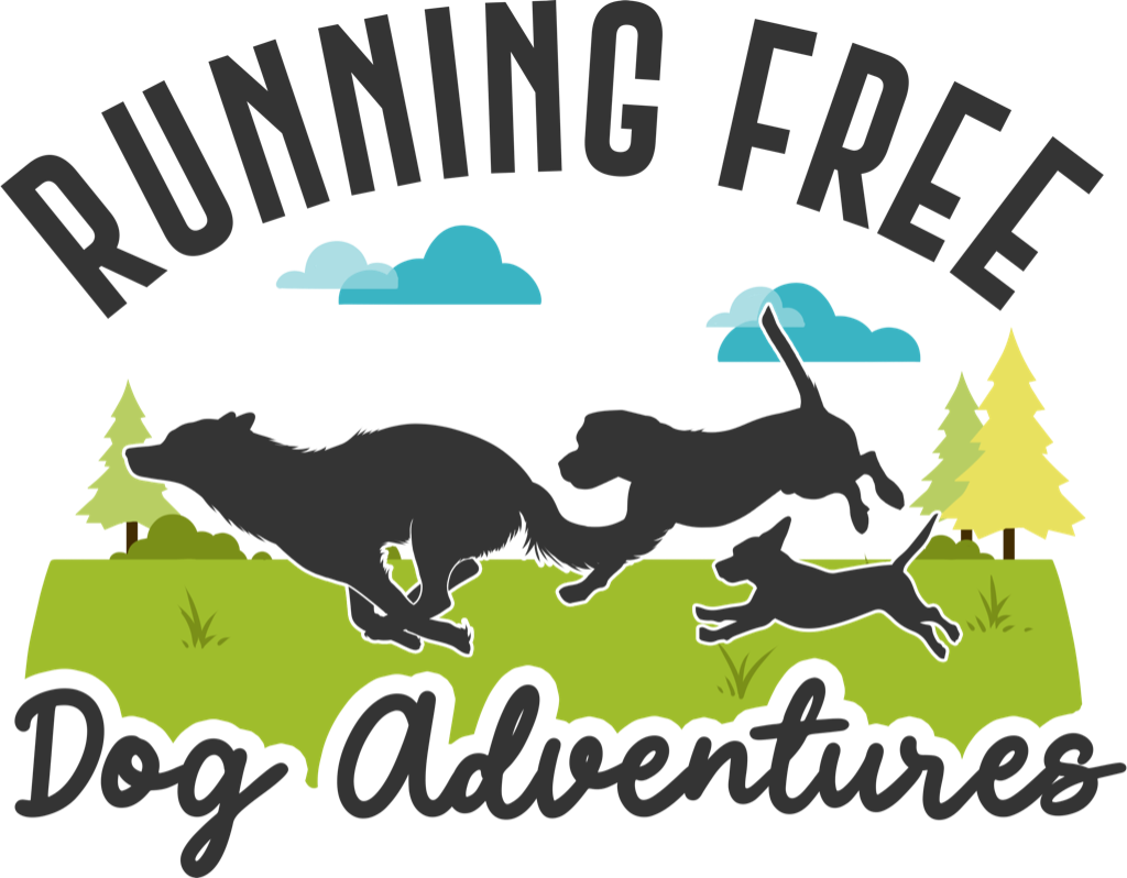 RUNNING FREE Dog Adventures L.L.C Logo