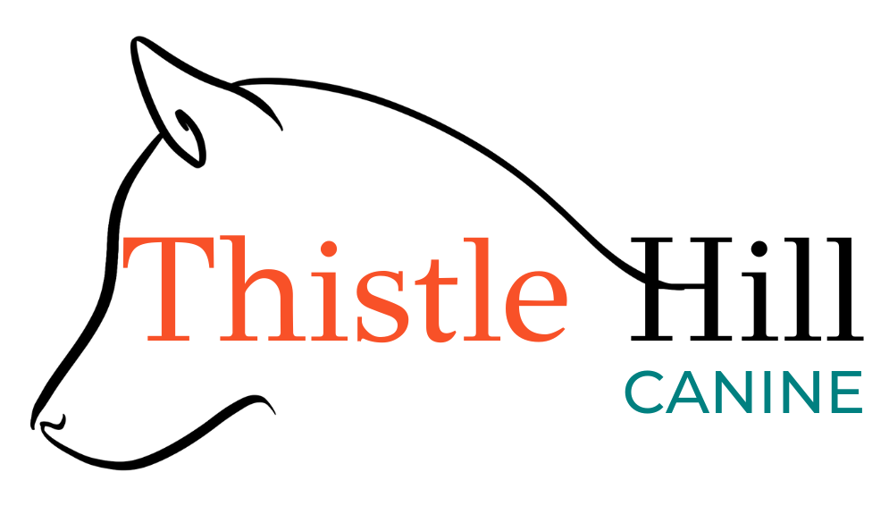 Thistle Hill Canine Logo