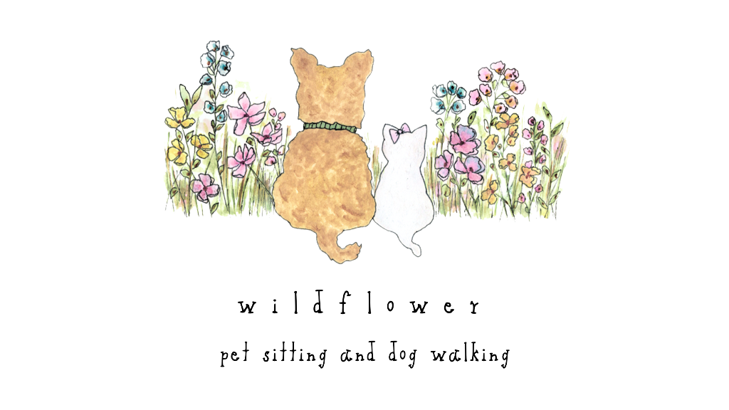 Wildflower Pet Sitting and Dog Walking LLC Logo