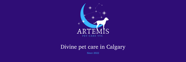 Artemis Pet Care YYC Logo