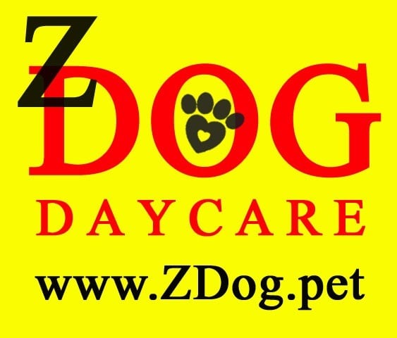 Z Dog Daycare Logo