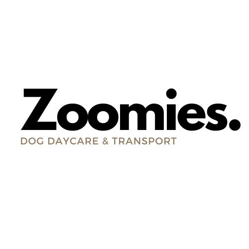 Zoomies Dog Daycare Logo