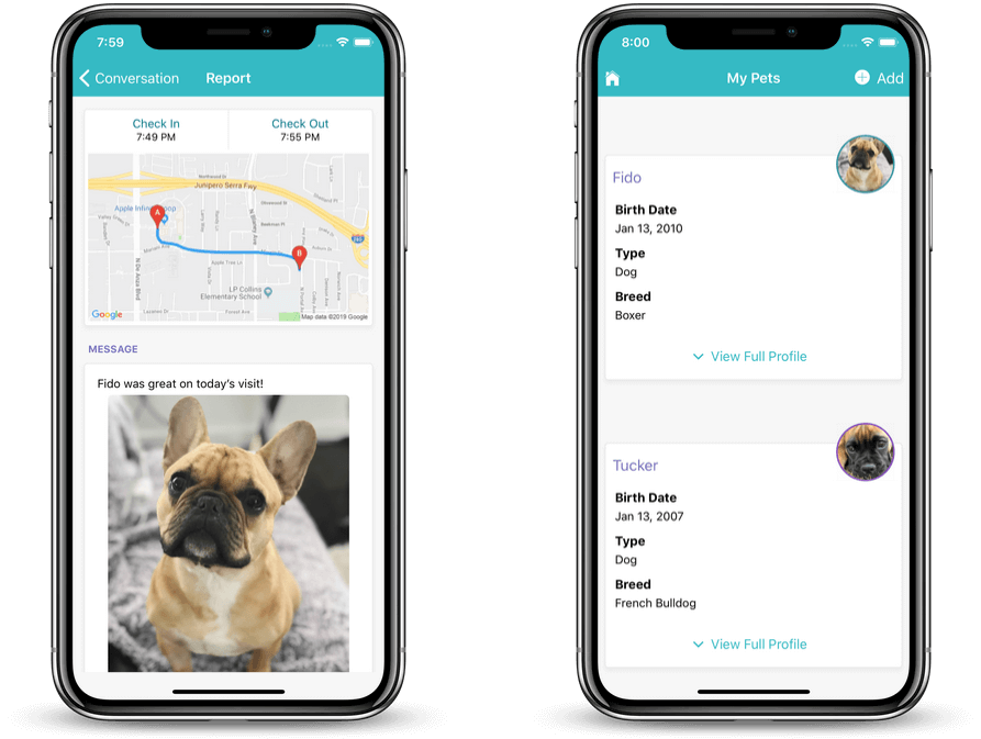 best dog walking apps for walkers